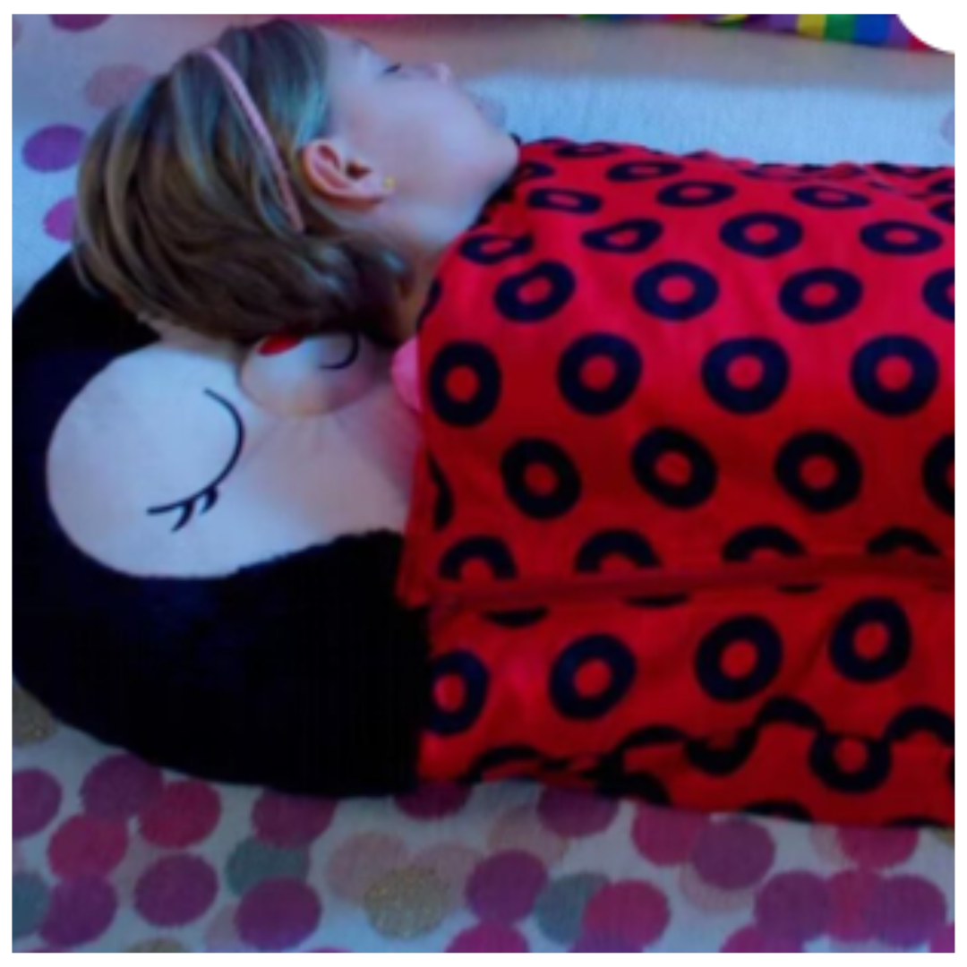 Saco de Dormir 2 en 1 Diseño Catarinas